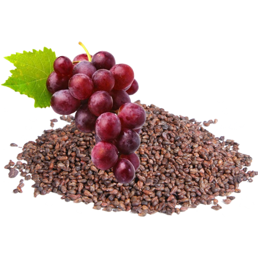 Üzüm Çekirdeği Extractı