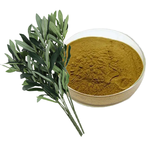 Zeytin Yaprağı Extractı