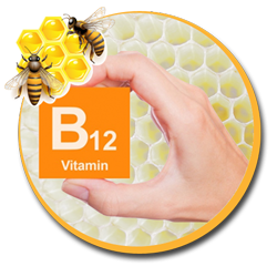 B12 Vitamini |