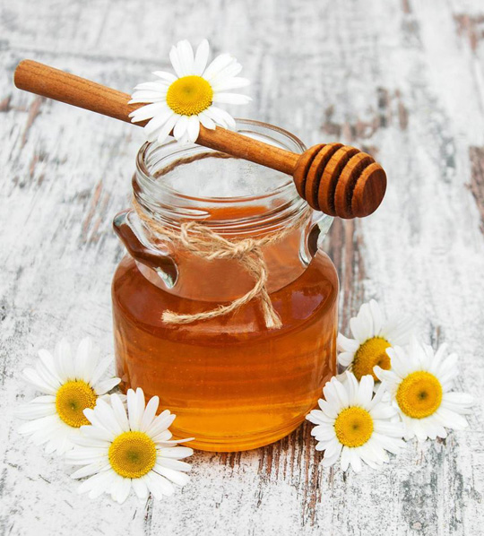 Bal'da Güven Arayanlara