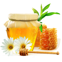 Doğal Bal Sağlıktır