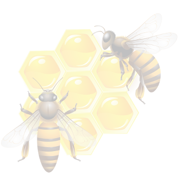 bal ve bal ürünleri satışı