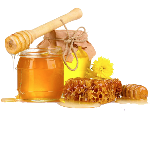 Bal ve Bal Ürünleri