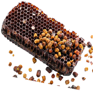 Perga - Arı Ekmeği 