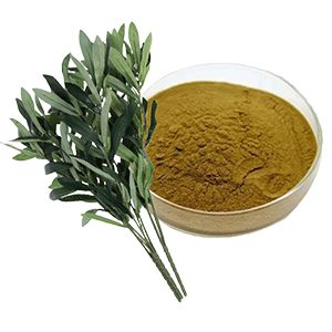 Zeytin Yaprağı Extractı